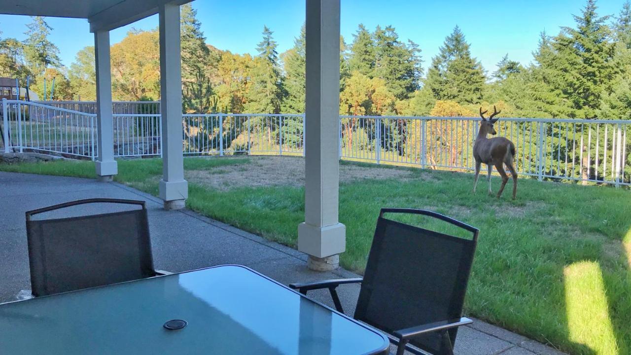Oasis Bed and Breakfast Langford Exteriör bild